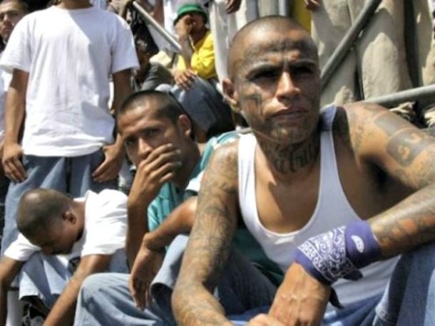 American Ne Ms-13 Kingpin Arrested In Massive Bust - Populist Wire